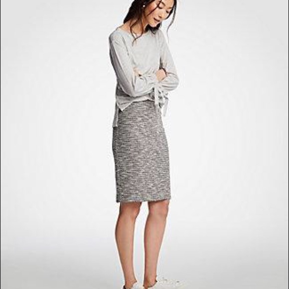 Anne Taylor Petite Knit Pencil Skirt